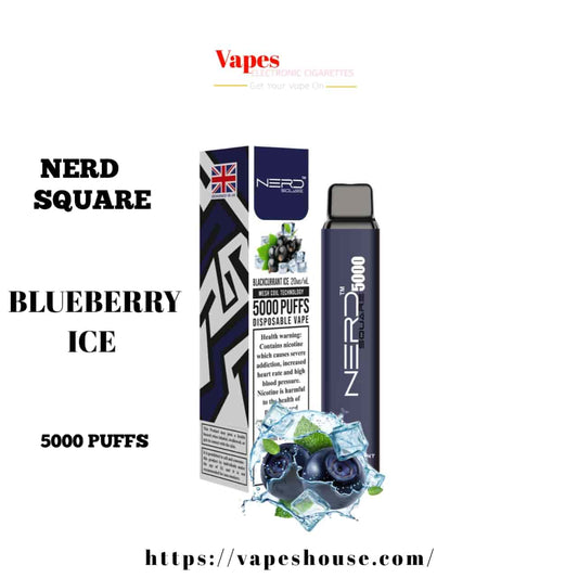 Nerd Square 5000 - Blueberry Ice Disposable
