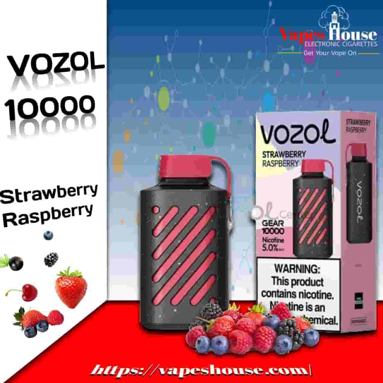 Vozol Gear 10000 Puffs strawberry blueberry Disposable Vape